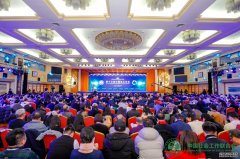 第十三届中国社工年会在京举办